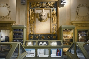 museo di storia naturale bologna 8-2022 3964